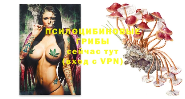 мет Белокуриха