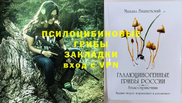 твердый Белоозёрский